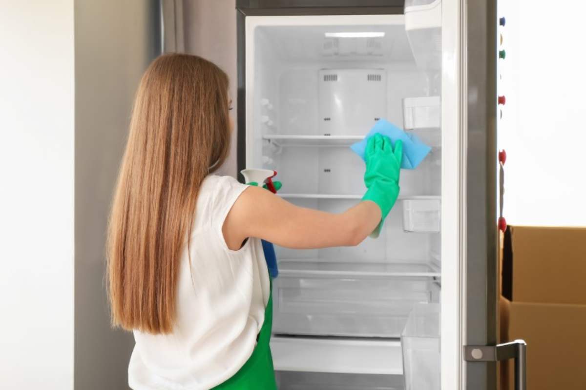 Tempi di pulizia del frigo